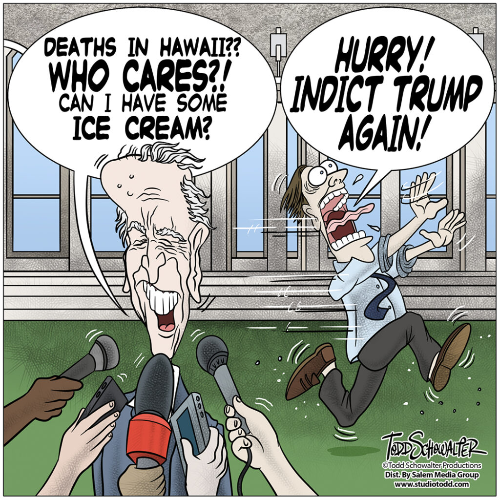 who-cares-hawaii-cartoon_schowalter.jpg